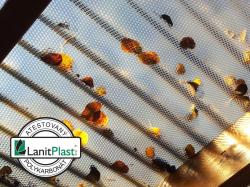 krytina k pergole ECO 3C CSE DIAMOND CLEAR