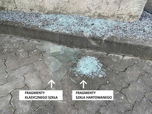 szklarnia ogrodowa VITAVIA FORTUNA czarna