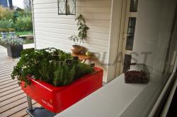 Miniskleník FRENCH GARDEN zelený