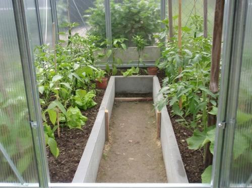 skleník LANITPLAST LIMES Viva V6/3 PC 6 mm