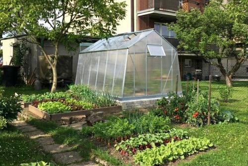 skleník LANITPLAST LIMES Viva V7/4,5 PC 4 mm