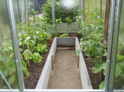 skleník LIMES Hobby H6/3,5 rozptylové kalené sklo 4 mm