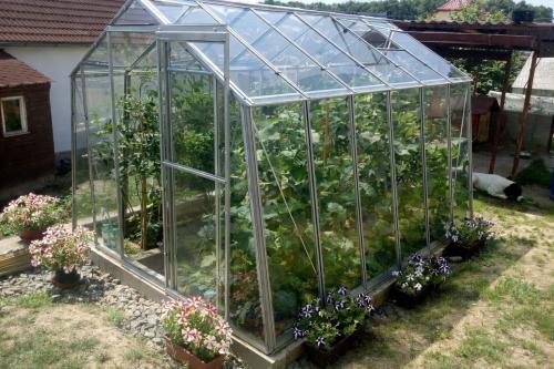 skleník LIMES Hobby H7/6 čiré sklo 4 mm