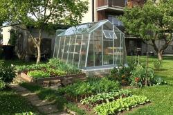 skleník LIMES Hobby H7/6 čiré kalené sklo 4 mm