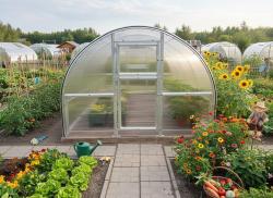 skleník VITAVIA BOHEMY 12000 PC 4 mm - V215