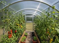 skleník VITAVIA BOHEMY 12000 PC 4 mm - V215