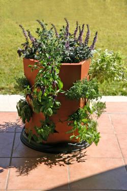 Bio - planter